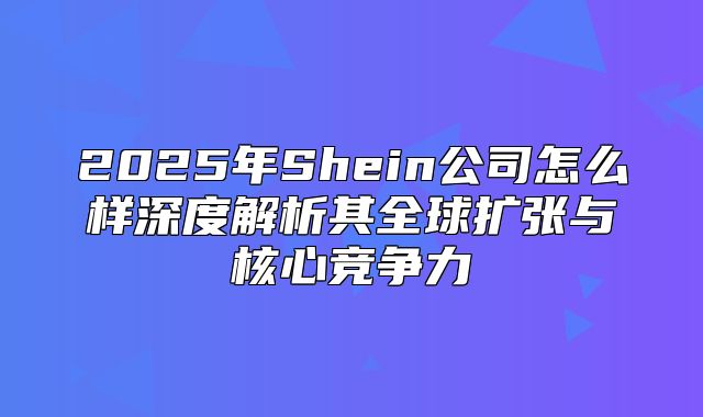2025年Shein公司怎么样深度解析其全球扩张与核心竞争力