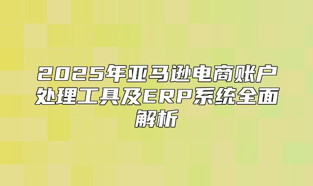 2025年亚马逊电商账户处理工具及ERP系统全面解析