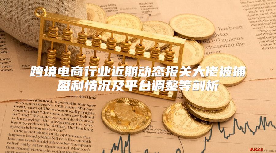 跨境电商行业近期动态报关大佬被捕盈利情况及平台调整等剖析