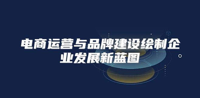 电商运营与品牌建设绘制企业发展新蓝图