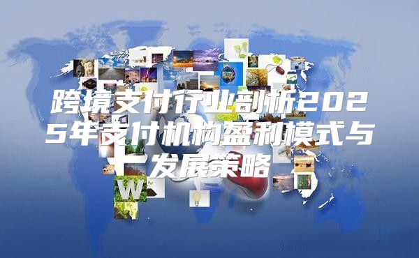 跨境支付行业剖析2025年支付机构盈利模式与发展策略