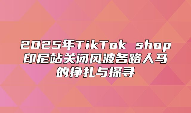 2025年TikTok shop印尼站关闭风波各路人马的挣扎与探寻