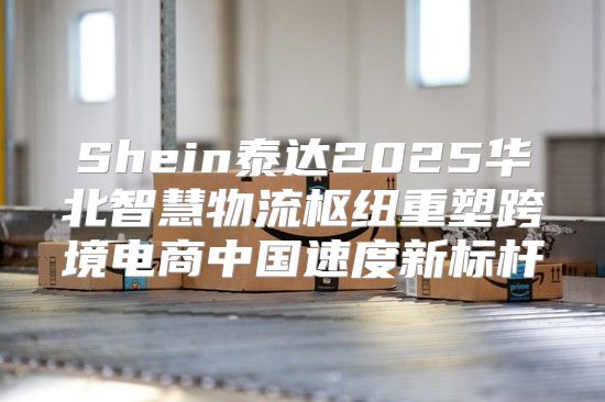 Shein泰达2025华北智慧物流枢纽重塑跨境电商中国速度新标杆