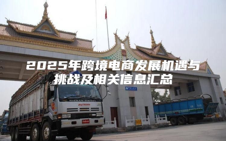 2025年跨境电商发展机遇与挑战及相关信息汇总