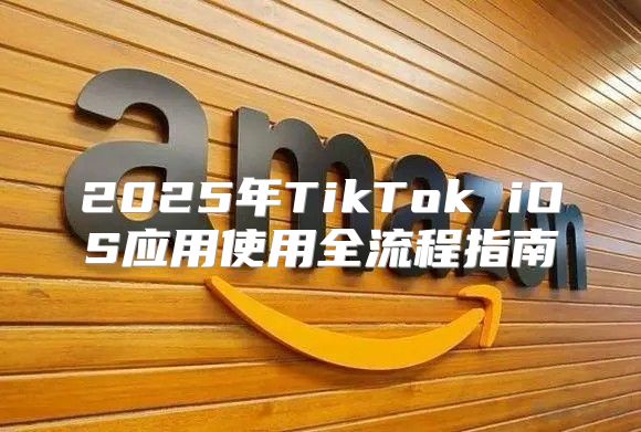 2025年TikTok iOS应用使用全流程指南