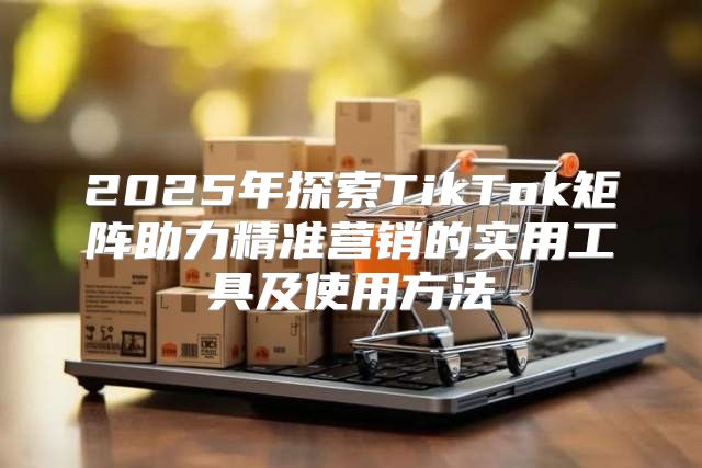 2025年探索TikTok矩阵助力精准营销的实用工具及使用方法