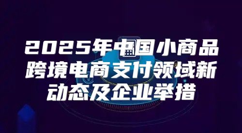 2025年中国小商品跨境电商支付领域新动态及企业举措