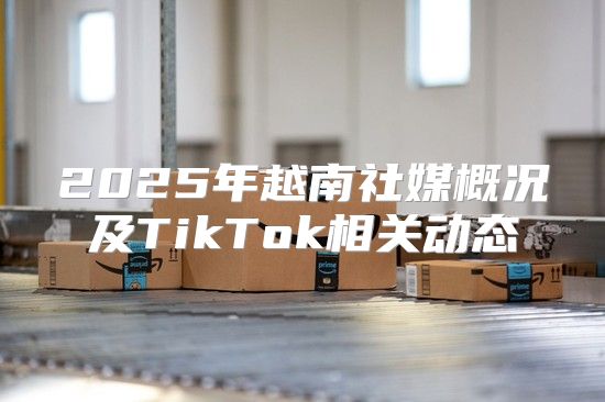 2025年越南社媒概况及TikTok相关动态