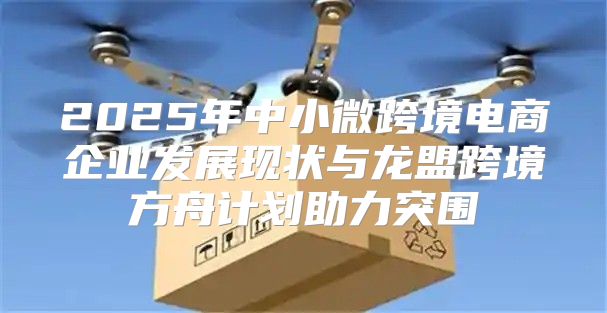 2025年中小微跨境电商企业发展现状与龙盟跨境方舟计划助力突围