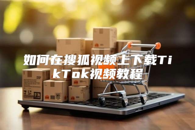 如何在搜狐视频上下载TikTok视频教程