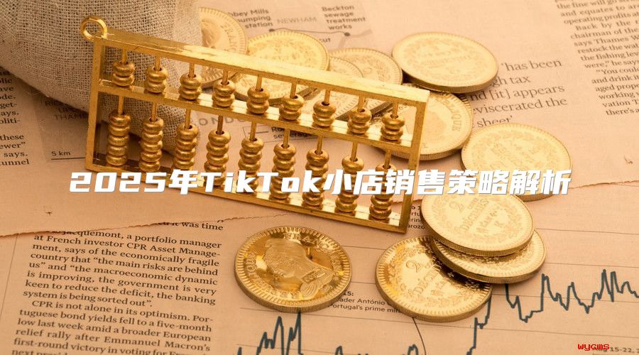 2025年TikTok小店销售策略解析