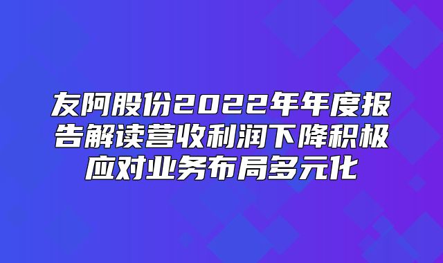 友阿股份2022年年度报告解读营收利润下降积极应对业务布局多元化