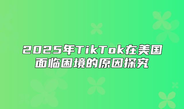 2025年TikTok在美国面临困境的原因探究