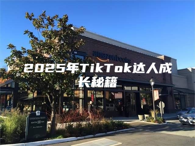2025年TikTok达人成长秘籍