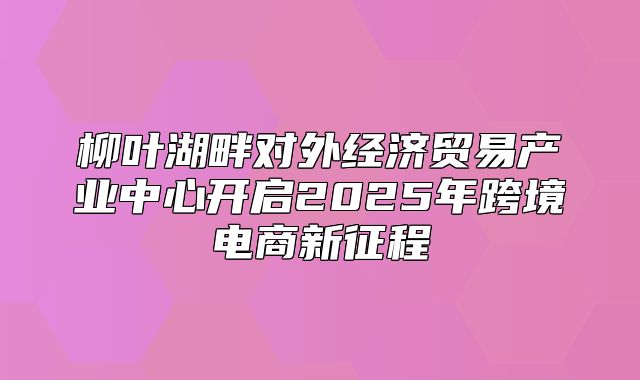 柳叶湖畔对外经济贸易产业中心开启2025年跨境电商新征程