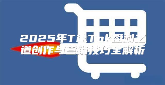 2025年TikTok盈利之道创作与营销技巧全解析