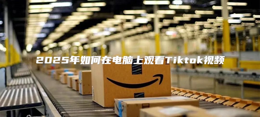 2025年如何在电脑上观看Tiktok视频