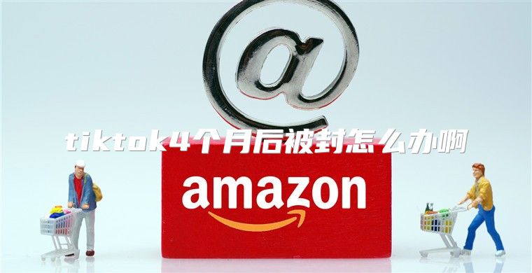 tiktok4个月后被封怎么办啊