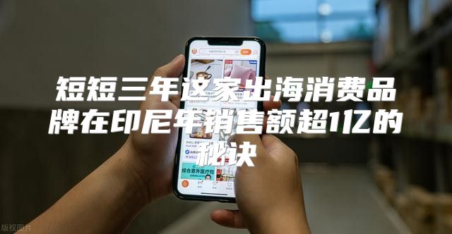 短短三年这家出海消费品牌在印尼年销售额超1亿的秘诀