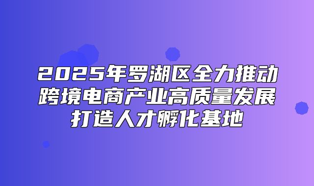 2025年罗湖区全力推动跨境电商产业高质量发展打造人才孵化基地
