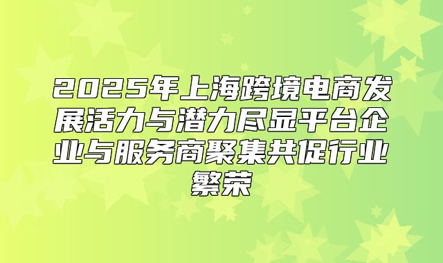 2025年上海跨境电商发展活力与潜力尽显平台企业与服务商聚集共促行业繁荣