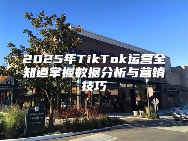 2025年TikTok运营全知道掌握数据分析与营销技巧