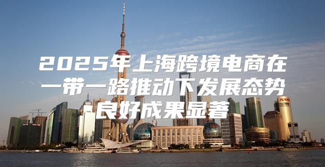2025年上海跨境电商在一带一路推动下发展态势良好成果显著