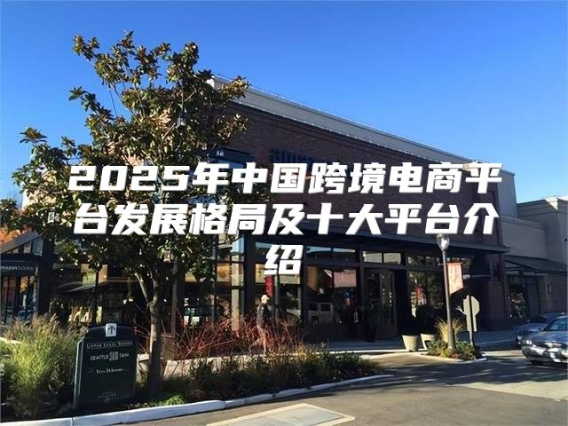 2025年中国跨境电商平台发展格局及十大平台介绍