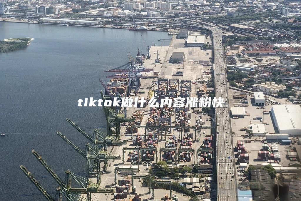 tiktok做什么内容涨粉快