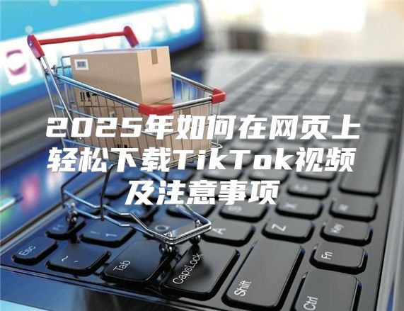2025年如何在网页上轻松下载TikTok视频及注意事项