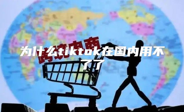 为什么tiktok在国内用不了了