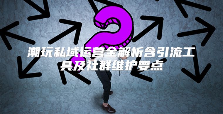 潮玩私域运营全解析含引流工具及社群维护要点