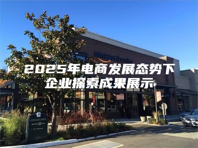 2025年电商发展态势下企业探索成果展示