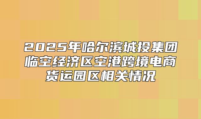 2025年哈尔滨城投集团临空经济区空港跨境电商货运园区相关情况