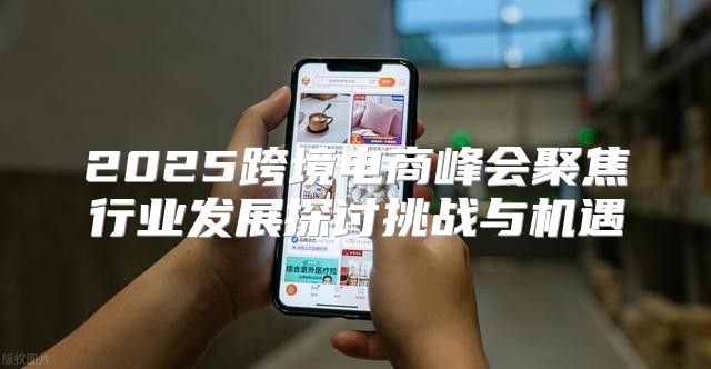 2025跨境电商峰会聚焦行业发展探讨挑战与机遇