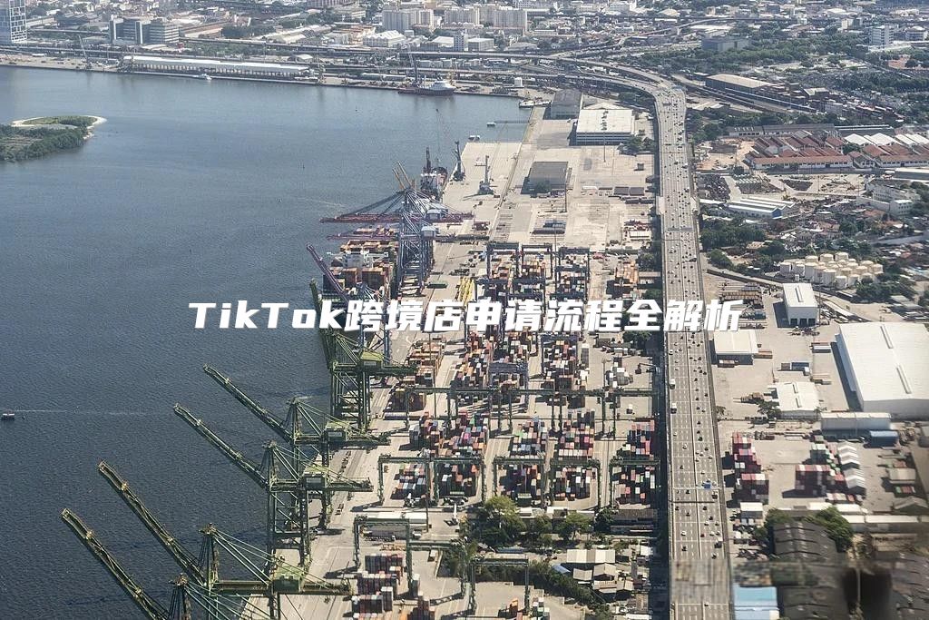 TikTok跨境店申请流程全解析