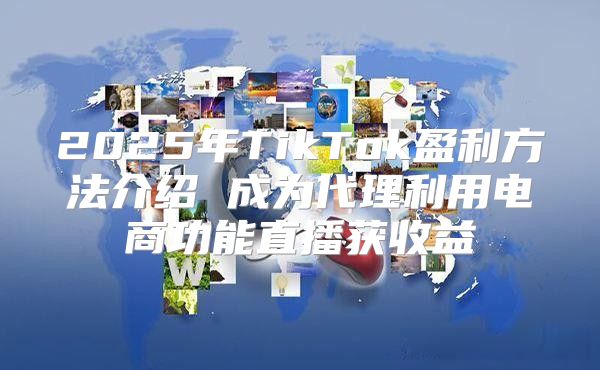 2025年TikTok盈利方法介绍 成为代理利用电商功能直播获收益
