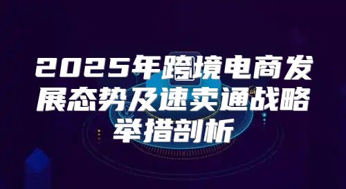 2025年跨境电商发展态势及速卖通战略举措剖析