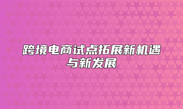 跨境电商试点拓展新机遇与新发展