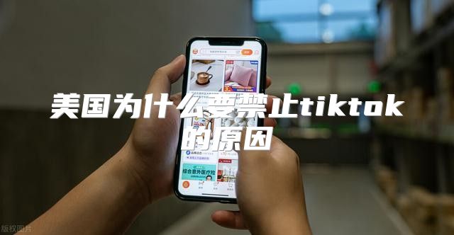 美国为什么要禁止tiktok的原因