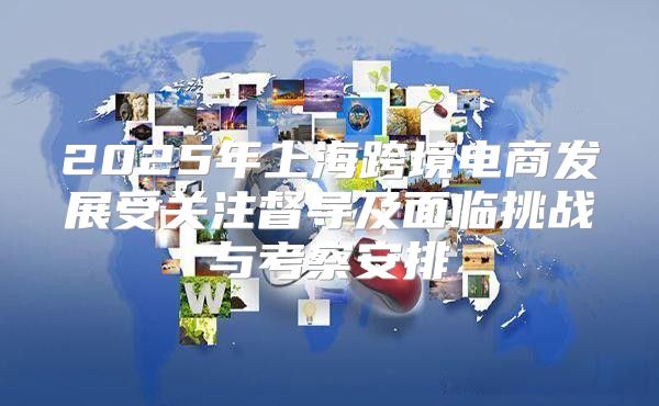 2025年上海跨境电商发展受关注督导及面临挑战与考察安排