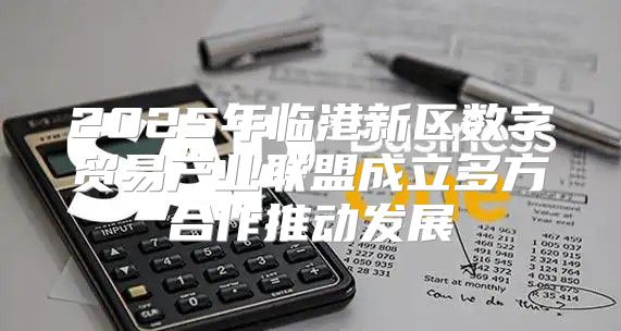 2025年临港新区数字贸易产业联盟成立多方合作推动发展