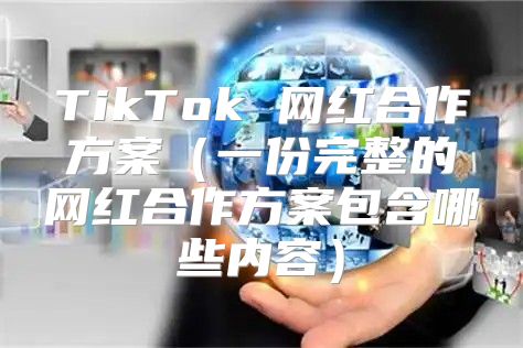 TikTok 网红合作方案一份完整的网红合作方案包含哪些内容
