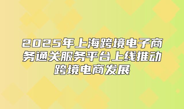 2025年上海跨境电子商务通关服务平台上线推动跨境电商发展