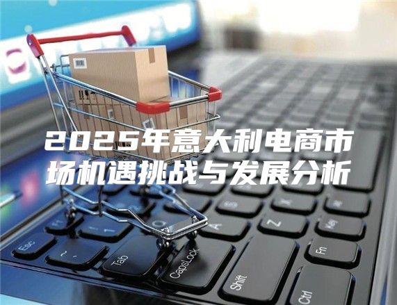 2025年意大利电商市场机遇挑战与发展分析