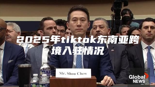 2025年tiktok东南亚跨境入驻情况