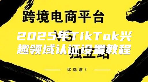 2025年TikTok兴趣领域认证设置教程