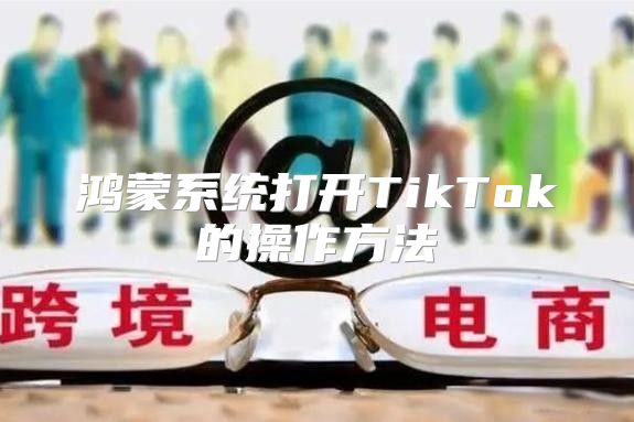 鸿蒙系统打开TikTok的操作方法