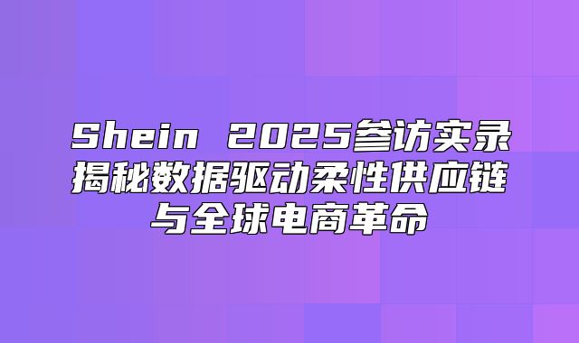 Shein 2025参访实录揭秘数据驱动柔性供应链与全球电商革命