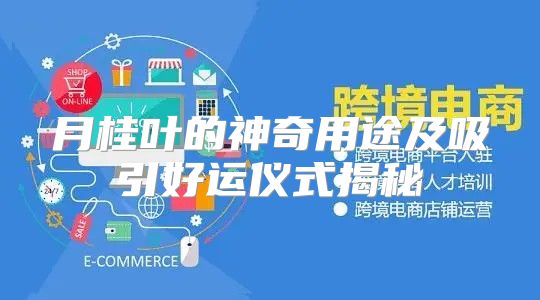 月桂叶的神奇用途及吸引好运仪式揭秘